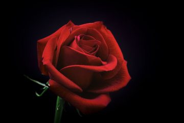 40 beaux poèmes d'amour