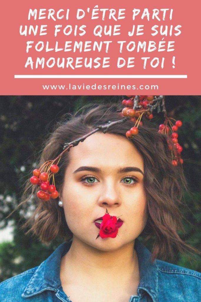 De Quel Candidat Suis Je Le Plus Proche Merci d'être parti une fois que je suis follement tombée amoureuse de toi