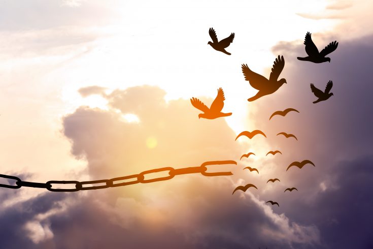 Quelle est la signification des oiseaux qui croisent votre chemin