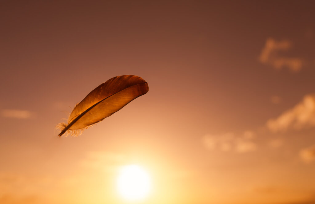 Anges gardiens quelle est la signification des plumes selon leur — free download