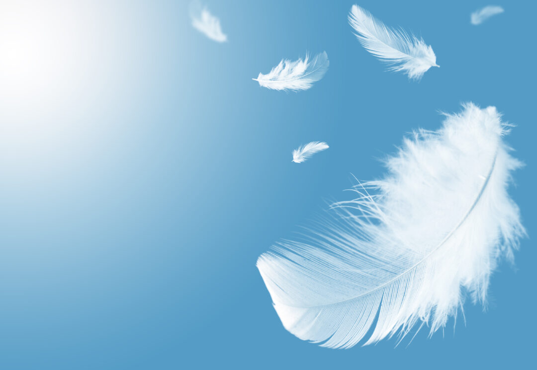 Plume blanche voici la signification de ce symbole spirituel