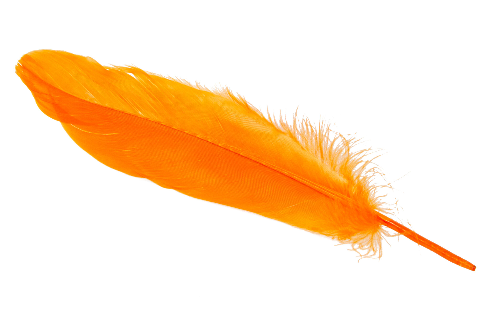 Anges gardiens : quelle est la signification des plumes selon leur ...
