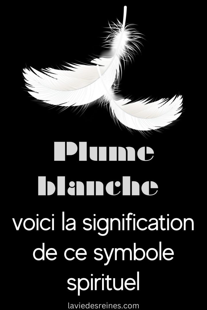 Plume blanche voici la signification de ce symbole spirituel — free download
