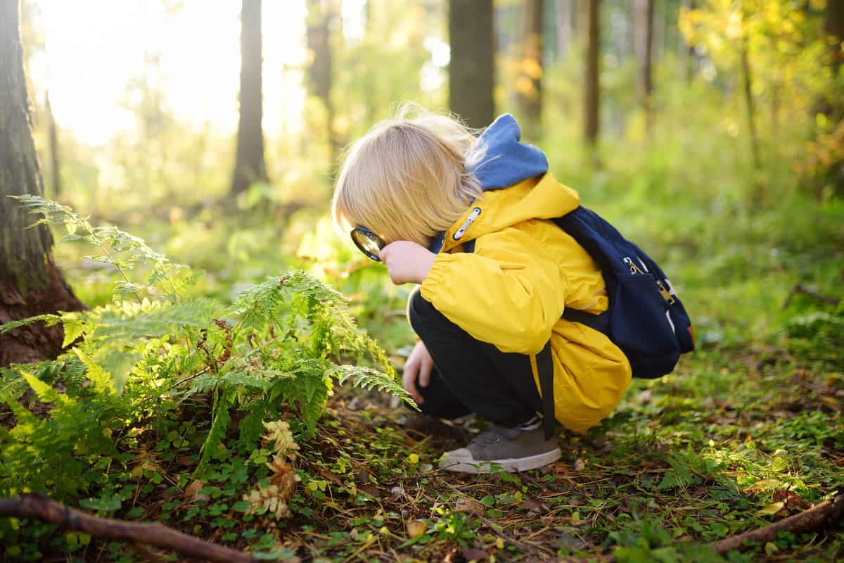 20 Raisons qui expliquent pourquoi la nature rend votre enfant plus intelligent