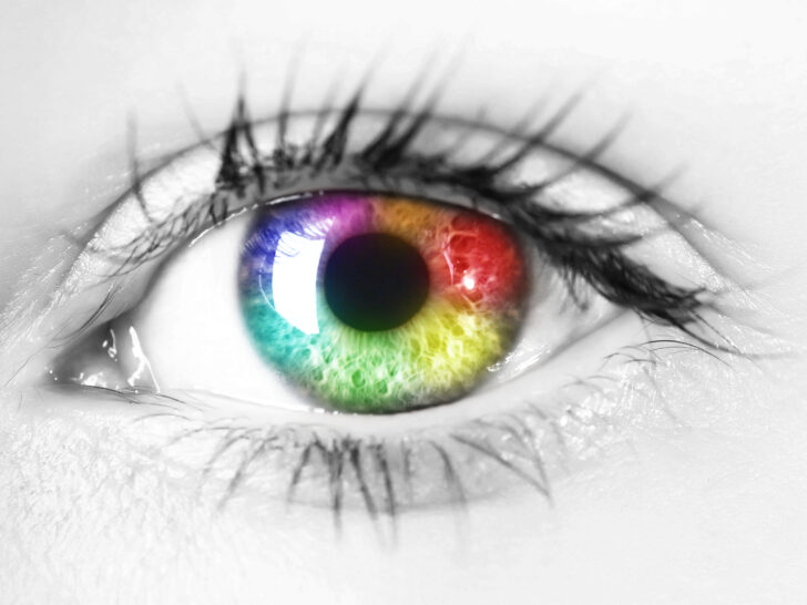 Couleur des yeux : origine et rareté des yeux bleu, verts, noisette, etc.