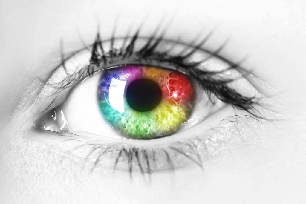 Couleur des yeux : origine et rareté des yeux bleu, verts, noisette, etc.