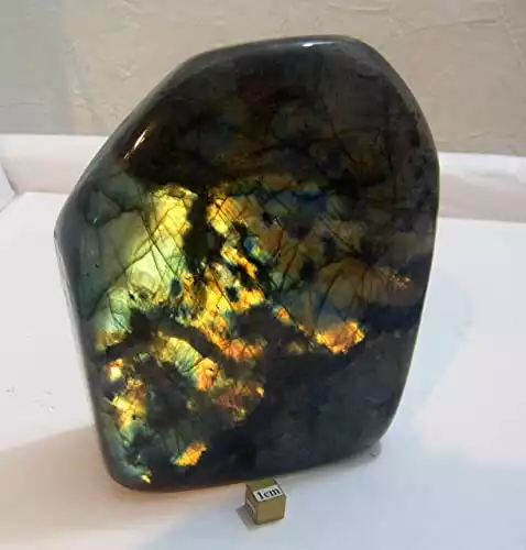 Labradorite cristal clignotant Argent poli Doré Reiki Heal 1143 G