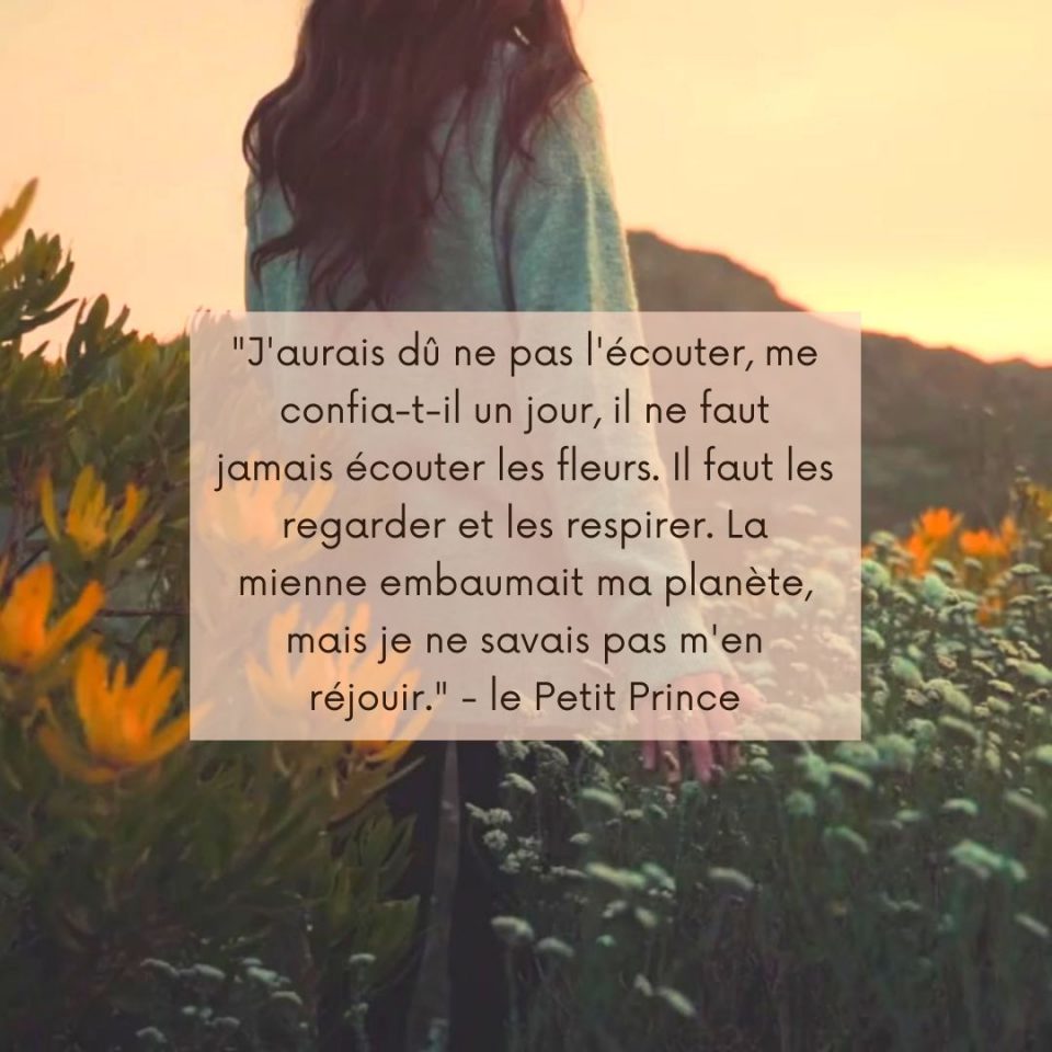Le Petit Prince 51 Citations inspirantes sur les étoiles, la vie et la mort