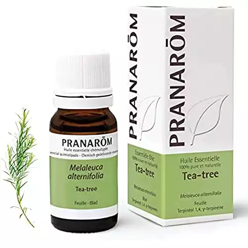 Pranarôm | Huile Essentielle Tea Tree | Arbre à Thé | Melaleuca Alternifolia | HECT | 10 ml