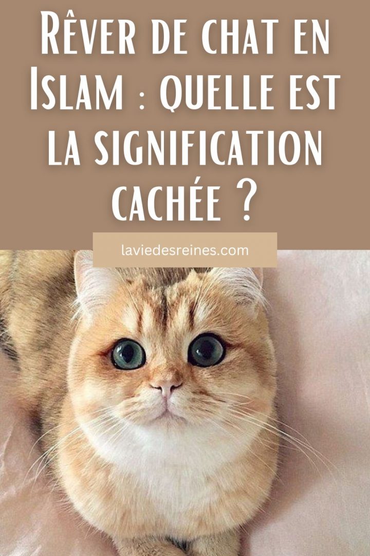 Rver De Chat Islamnull