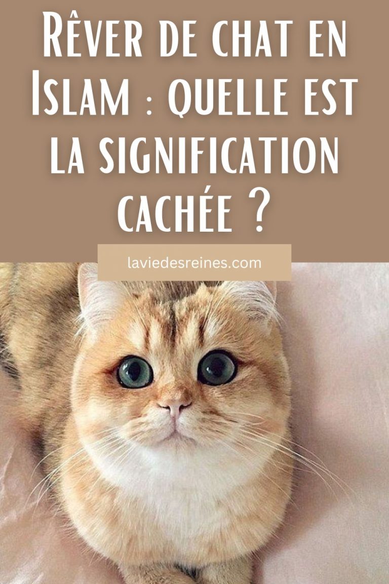 Sitemapcdatahttpsshopinf Inetcomrever De Chat Islam