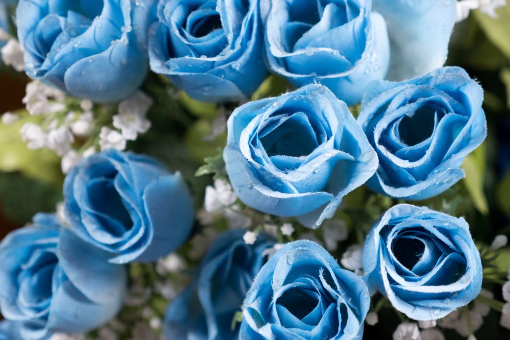 Rose bleue : quelle est la signification spirituelle cachée ?