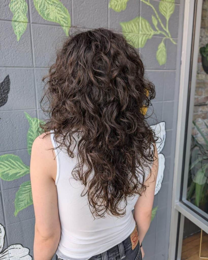 Long curly haired shag makes for a fun style! Cut by Molly •••#curlyshag #shag #shaghaircut #forestparkil (2)