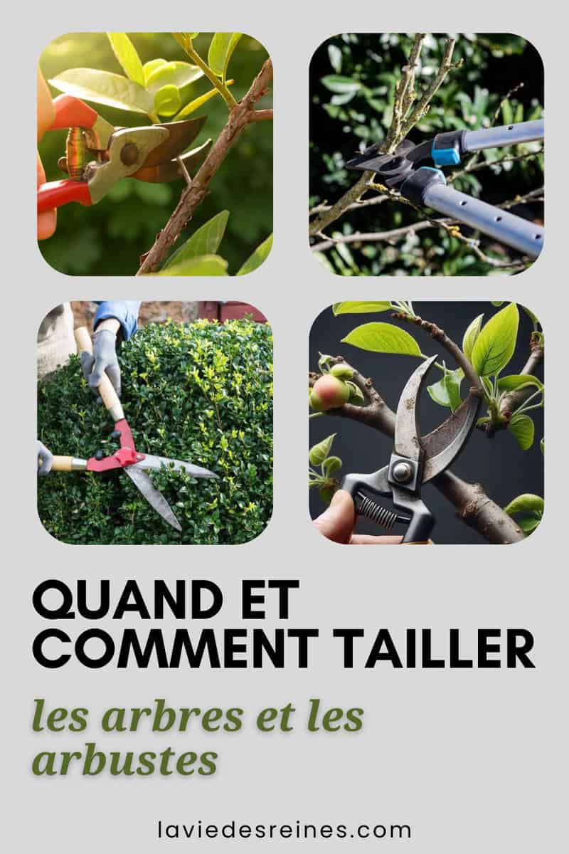 Comment Tailler Des Arbustes