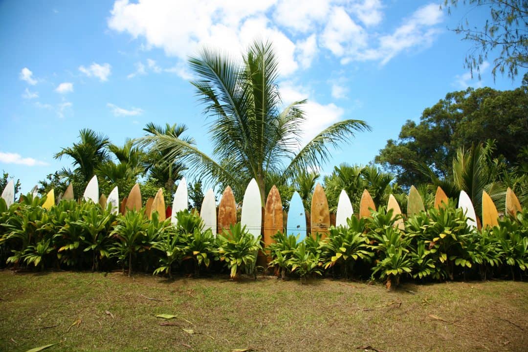 Gants De Gardien De But Derbystar Future Star - Taille 12, Adulte Unisexe - Blanc/Rouge - Pour Le Football