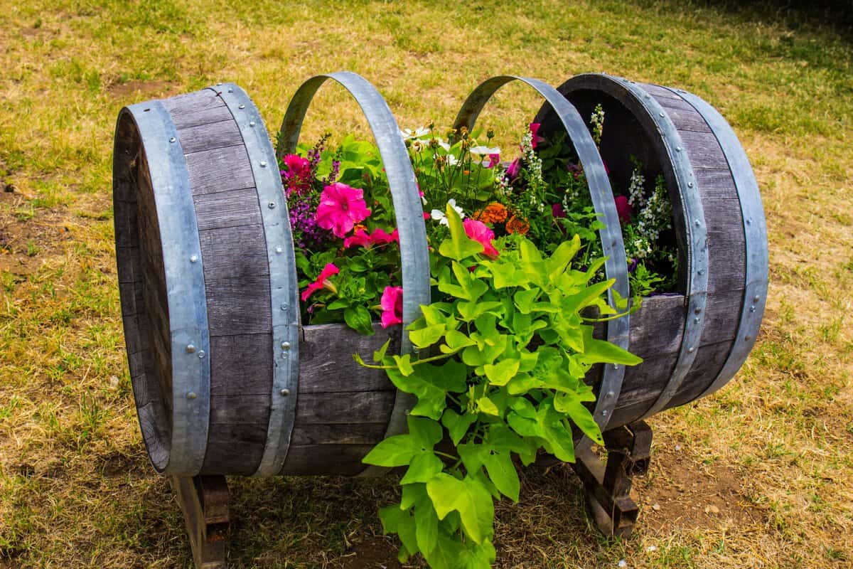 Idées de jardinières en tonneau follement fantaisistes