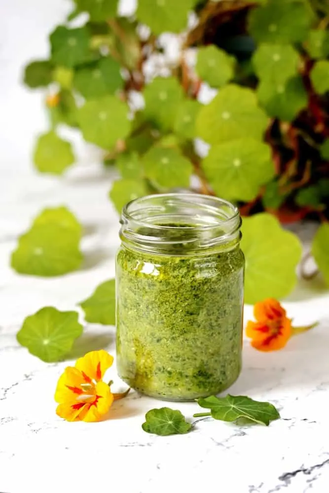 A jar of homemade nasturtium pesto.