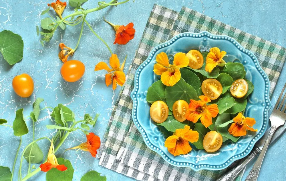 A bowl of salad with nasturtium flowers and leaves.